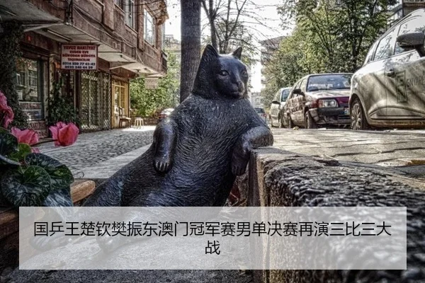guo-ping-wang-chu-qin-fan-zhen-dong-ao-men-guan-jun-sai-nan-dan-jue-sai-zai-yan-san-bi-san-da-zhan-2-383.jpg